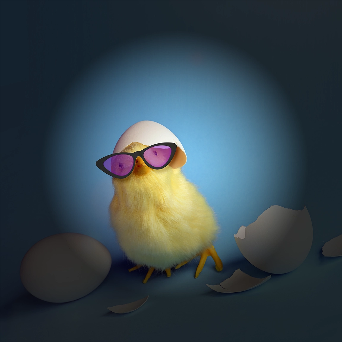 Cool Chicken